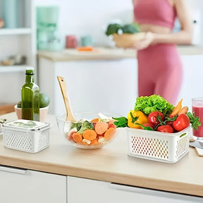9peças Caixa de armazenamento de alimentos para frigorífico com tampa, caixa de armazenamento fresca selada multifuncional para frutas e legumes, caixa de drenagem e caixa de armazenamento para frigorífico, caixa de armazenamento para frigorífico de cozin